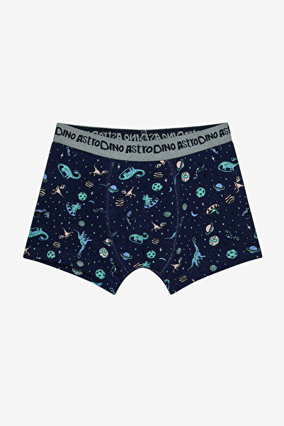 Penti Erkek Çocuk Astro Dino Çok Renkli 2li Boxer