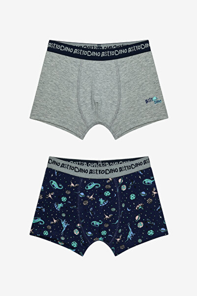 Penti Erkek Çocuk Astro Dino Çok Renkli 2li Boxer