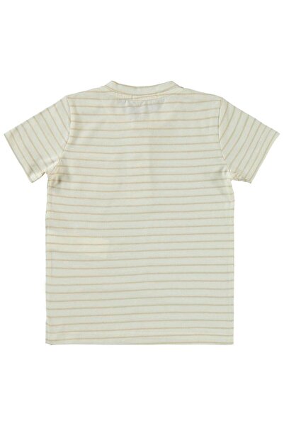 Civil Boys Striped Pocket T-Shirt for Ages 2-5 - Brown 5-6 Years