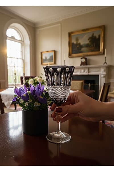 DECOSTYLE Arow Siyah El Kesmesi Kadeh Bardak 270 cc - Tekli Lüks Cam Su ve Meşrubat Sunumu