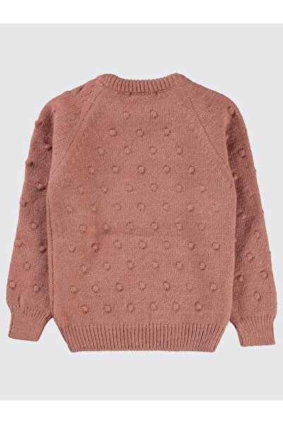 Civil Girls سترة بناتي 2-5 سنوات داستي روز