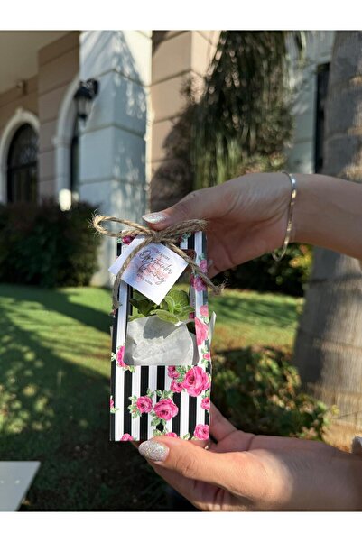 FİDAN PAZARI Öğretmenler Günü Özel Süslemeli Hediyelik Sukulent (ÇİÇEK DESEN RENK 20 ADET)