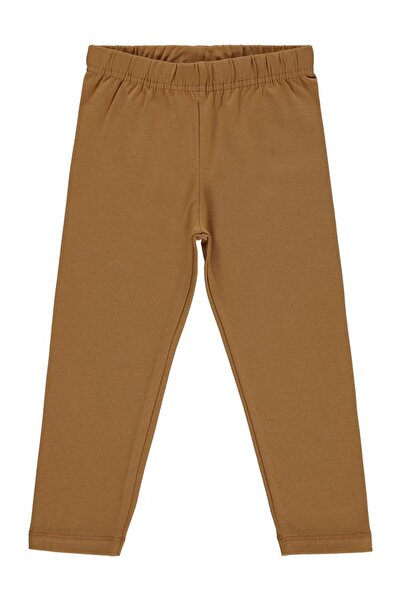 Civil Girls الجوارب الطويلة الأساسية للأعمار من 2 إلى 5 سنوات - بني للأعمار م...