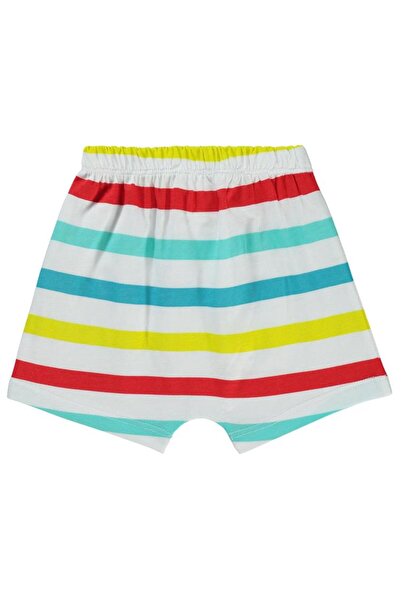 Civil Baby 4 Color Line Print 6-18 Months Shorts - White9-12 Months