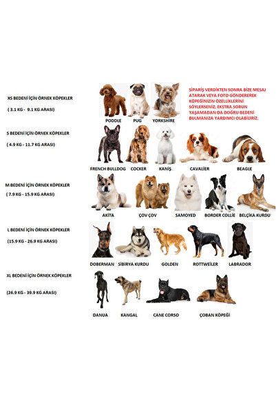 HESPERUS Köpek Tasması Gövdelik Ve Göğüslük Otomatik Toplama Rahat Ve Konforlu Yürüyüş Tasma