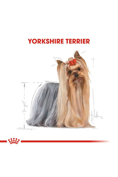 Royal Canin Yorkshire Terrier Adult Yetişkin Köpek Konservesi 85 Gr