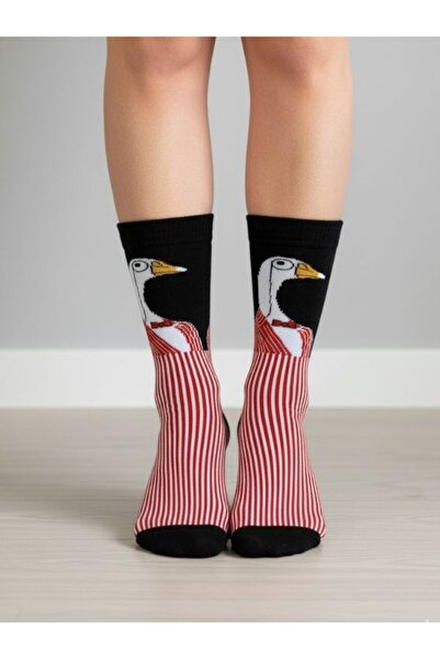 AKSU ÇORAP جوارب بتصميم أوزة