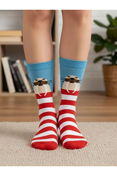 AKSU ÇORAP جوارب مورس ديزاين