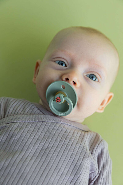 Bibs Studio Colour Ladybug Emzik-Sage 6 Ay+