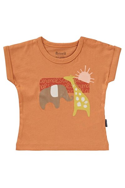 Miniworld Colorful Figured 2's 1 Pack 3-12 Months T-Shirt - Orange 6-9 Months