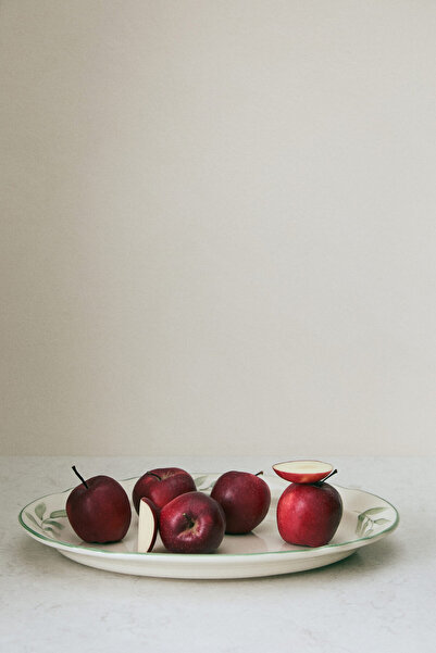 H&M Elde Boyanmış Stoneware Servis Tabağı