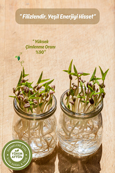 Yörem Afyon Gaziantep Yöresinden Doğanın Protein Hazinesi Maş Fasulyesi, Cin Börülcesi {Vigna Radiata} | 250gr.