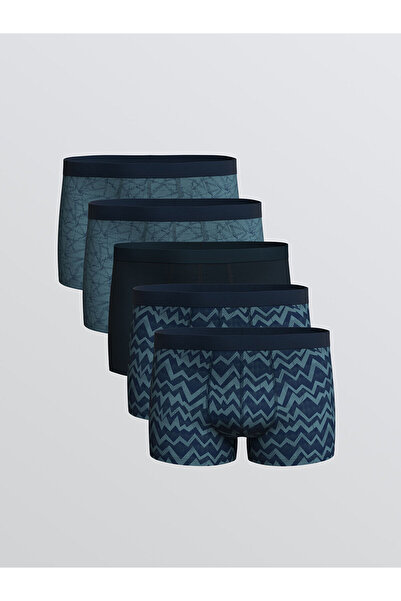 LC Waikiki ملابس داخلية رجالية مرنة من القطن بتصميم قياسي من فيجن للموسم الجديد، عبوة من 5 قطع