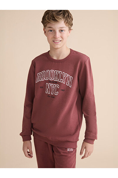 LC Waikiki Суичър за момче с кръгло деколте