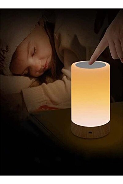 Arabest Night Light, Bedroom Color Changing LED Touch Light Portable With Rechargeable and Dimmable