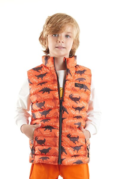 AHENGİM Boy's Dino Printed Trend Vest - Ak 216061