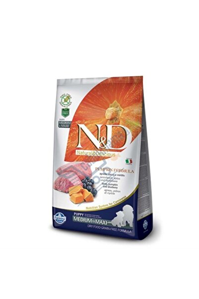 N&D Pumpkin Balkabaklı Kuzulu Yaban Mersinli Orta ve Büyük Irk Tahılsız Yavru Köpek Maması 12 Kg
