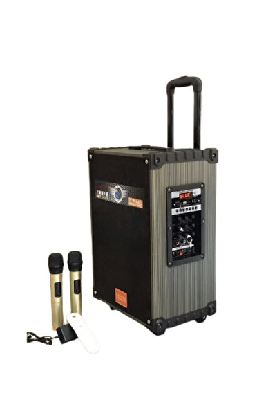 Fuchsia LT912 Taşınabilir Çift Mikrofonlu Kumandalı 20 Watt Kablosuz Hoparlör