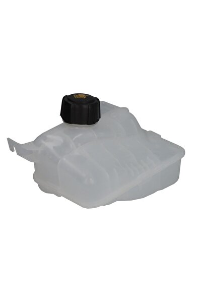 Thermotec Vas de expansiune, set filtre de schimb, Renault SCENIC III (JZ0/1_)