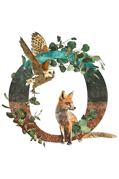 OEM Autocolant cu litera O, vulpe, bufniță, margini albe, vinil PVC 15 cm