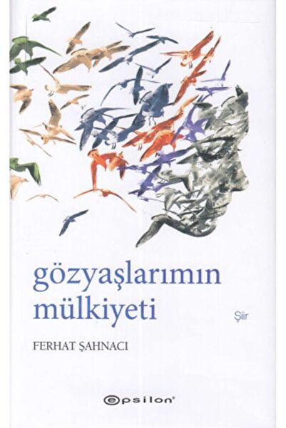 Epsilon Yayınevi Gözyaşlarımın Mülkiyeti