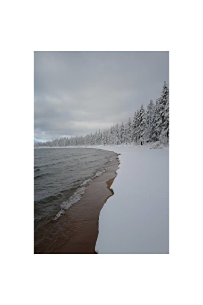 OEM Pictură pe pânză - Peisaj de iarnă cu pini și mare, 80 x 120 cm