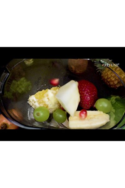rebune Rebon Slow Juicer 150W (Model RE-2-080)