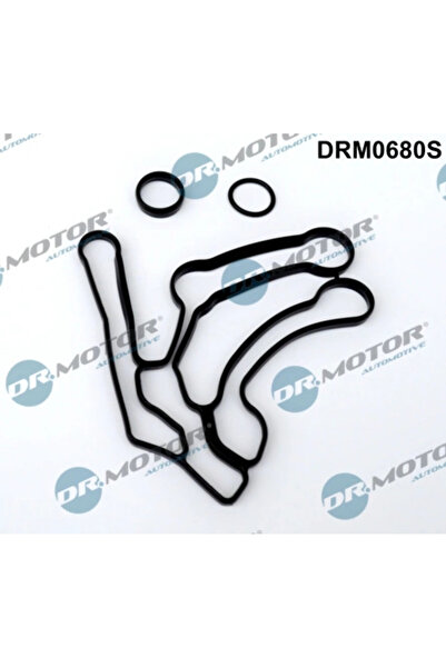 DR.MOTOR AUTOMOTIVE Set Garnituri Radiator Ulei Alfa Romeo 159 Fiat Croma/Gra...