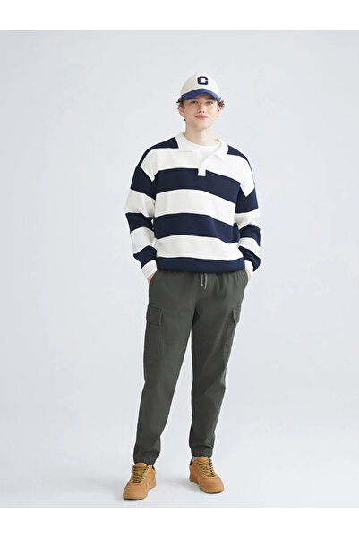 LC Waikiki XSIDE Lacivert Polo Yaka Uzun Kollu Çizgili Erkek Triko Kazak