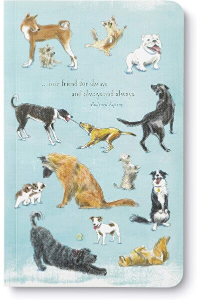 Compendium دفتر ملاحظات "اكتب الآن" - "صديقنا للأبد" (١٢٨ صفحة، ١٢.٧×٢٠.٣ سم)