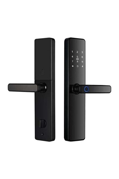 T mas TMAS S819 Smart Door Handle for Metal and Wooden Doors