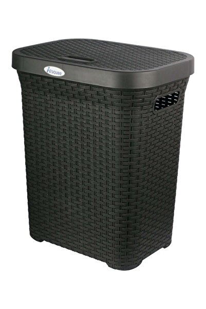 Esqube سلة غسيل مع غطاء سعة 50 لترًا باللون الأسود