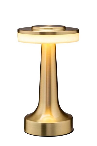 fulina Portable LED Table Lamp, 3 Color Rechargeable Desk Lamp with Touch Sensor, Room Decor Table Lamp wit