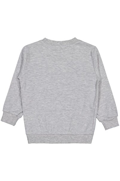 Civil Girls Happen Printed 2-5 Years Old Sweatshirt - Gray 2-3 Years Old