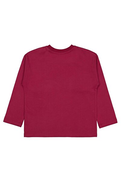 Civil Boys Tiger Printed - Labelled 10-13 Years Old Sweatshirt - Claret Red 1...