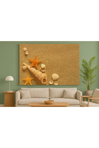 TABLO34 DENİZ KABUĞU TABLO GÖRSELİ ÇERÇEVESİZ UV POLYESTER VİNİL TABLO