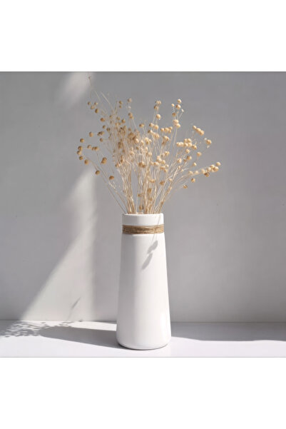 Generic cylindrical ceramic vase