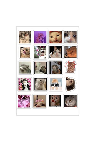 autostickere Set de 20 de autocolante cu pisici (4–5 cm), impermeabile, lamin...