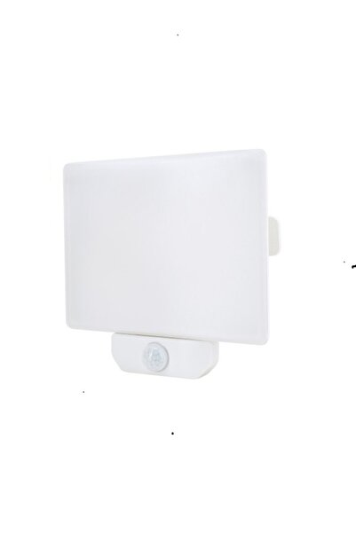 Bemko LED projector 50W 4500LM 4000K IP65,