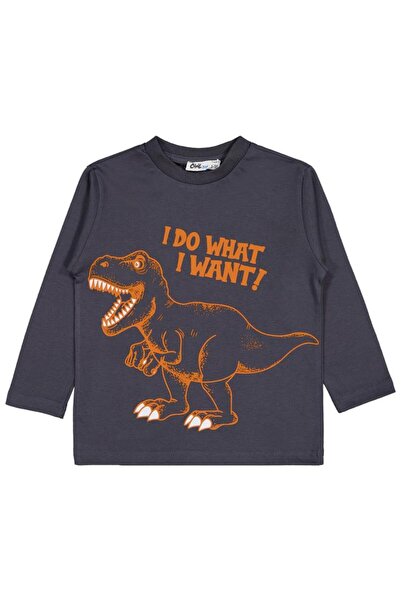 Civil Boys I Do What Baskılı 2-5 Yaş Sweatshirt - Gri 2-3 Yaş