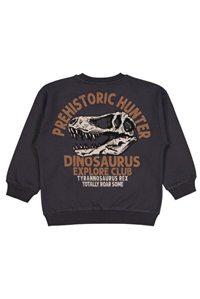 Civil Boys سويت شيرت من العصور ال tiềnىستورية مطبوع لعمر 6-9 سنوات - رمادي لعمر 6-7 سنوات