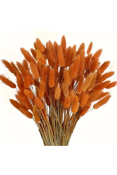 Dekora Çiçek Aranjament de buchet de mireasă cu coadă de iepure din buruieni uscat Lagurus portocaliu 80 de ramuri