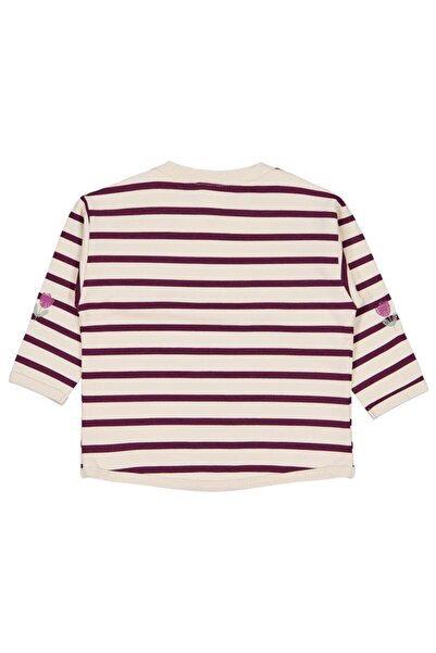 Civil Baby Çizgi Emp. Çiçek Nakışlı 6-18 Ay Sweatshirt - Bej 6-9 Ay