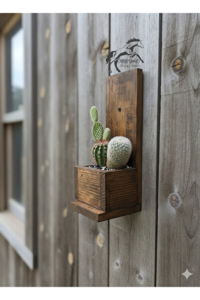Krb Ahsap Ahşap Saksı, Kaktüs Ve Sukulentler İçin Duvar Rafı Ve Mini Saksı, D...