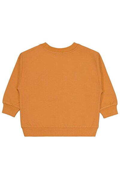 Civil Boys Cvl Team Labeled 2-5 Years Old Sweatshirt - Orange 5-6 Years Old