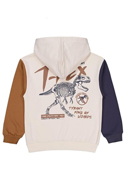 Civil Boys T Rex Baskılı Kapşonlu 10-13 Yaş Sweatshirt - Gri11-12 Yaş