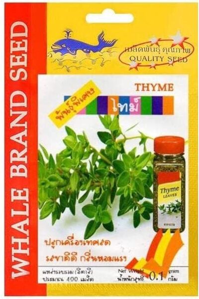 Generic بذور الزعتر البري للزراعة