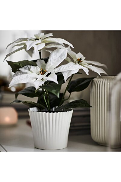 IKEA VINTERFINT Plant pot, white, 12 cm