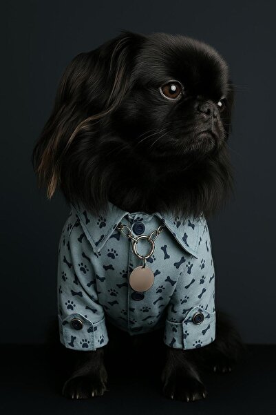 Bobo Pet İsimlikli Künye Zincir Kolye