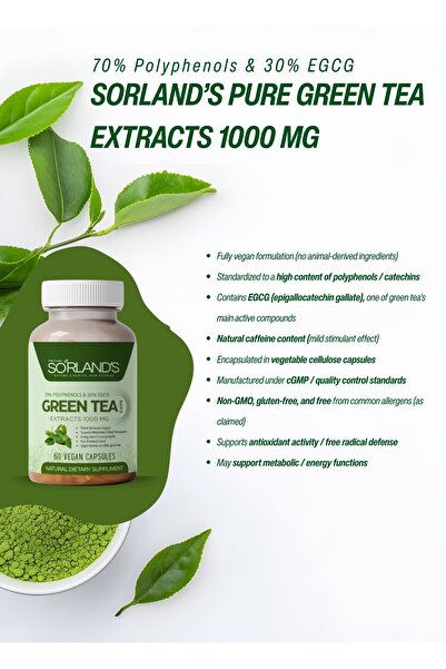 Sorland s Purified Green Tea Extract - 60 Vegan Capsules